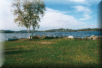 Our view of the Lake